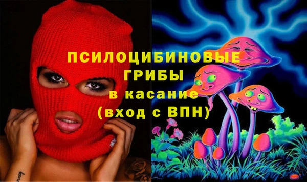 гидра Алзамай